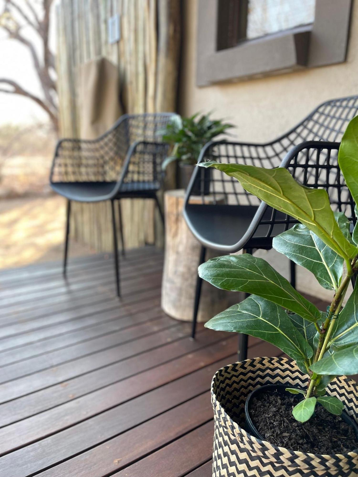 The Baobab Bush Lodge And Villa Hoedspruit Exterior foto